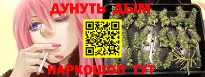 дурь Шахты