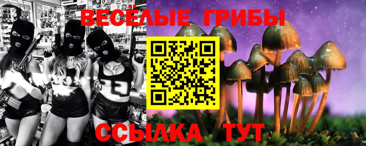 Псилоцибиновые грибы Cubensis  Вход с VPN  Псилоцибиновые грибы Psilocybe  Богданович 